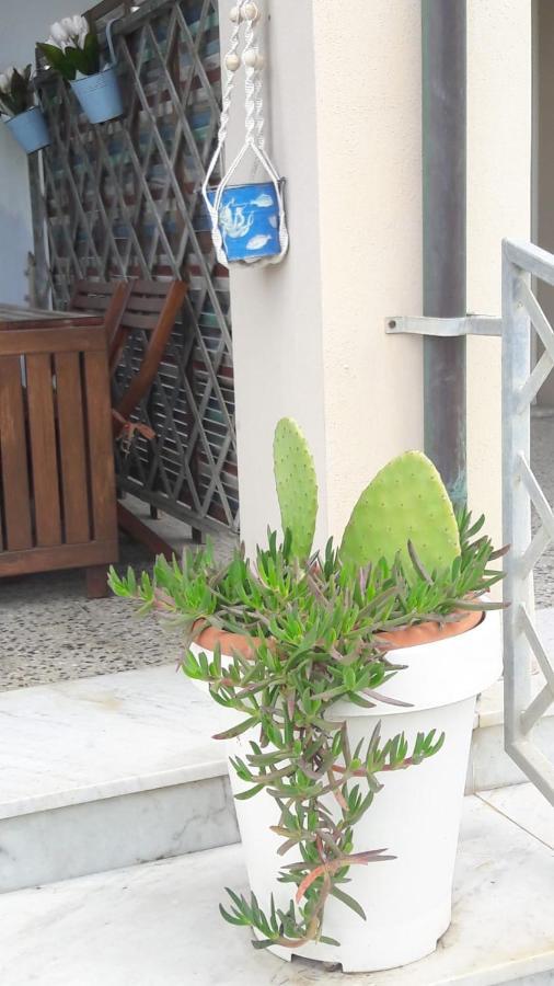 Sea Beach Relax Tirrenia Exterior foto